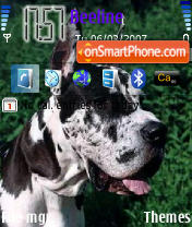 Dogs theme screenshot