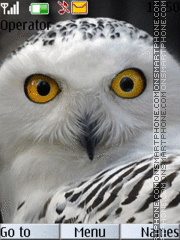 Owl tema screenshot