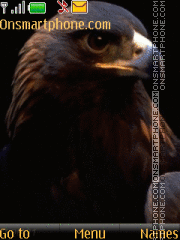 Capture d'écran Eagle thème