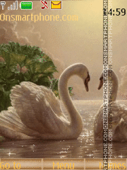 Swans es el tema de pantalla