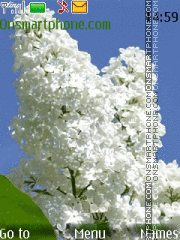 White lilac Theme-Screenshot