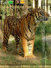 Скриншот темы Animated Tiger