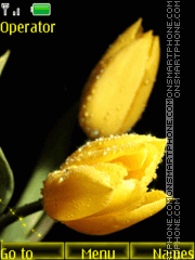 Скриншот темы Yellow tulips
