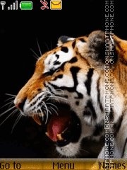 Tiger 35 Theme-Screenshot