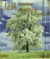 Tree Theme-Screenshot
