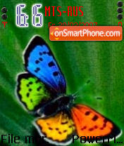 New Butterfly 2007 tema screenshot