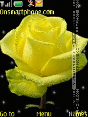 Yellow roses 15 es el tema de pantalla