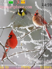 Birds in winter tema screenshot