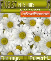 Flowers from Debtor tema screenshot