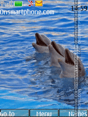 Dolphins theme screenshot