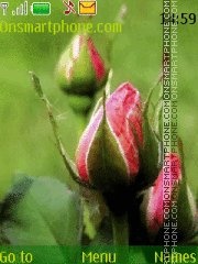 Capture d'écran Roses symphony thème