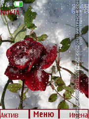 Скриншот темы Rosa in snow anim