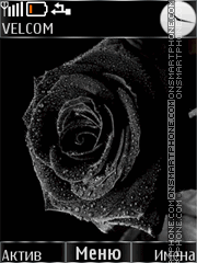 Capture d'écran Black rose anim thème
