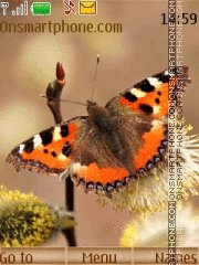 First butterflies Theme-Screenshot