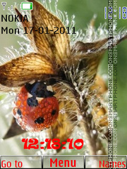 Ladybug and flower tema screenshot