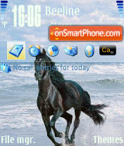 Mustang Horse es el tema de pantalla