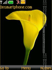 Скриншот темы Yellow flower
