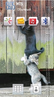 Funny Cats 01 theme screenshot