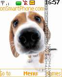 Dog animated Theme-Screenshot