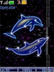 Dolphins anim swf Theme-Screenshot