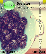 Скриншот темы Bilberries