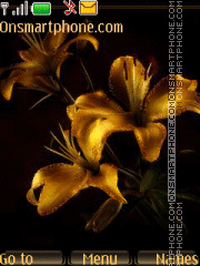 Lilies Theme-Screenshot