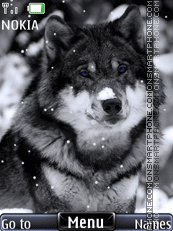 Capture d'écran Winter wolf thème