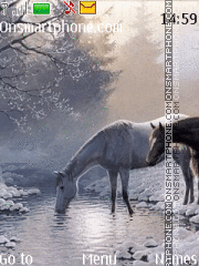 Horses near water tema screenshot