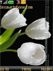 Скриншот темы White tulips