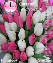 Capture d'écran Tulip thème