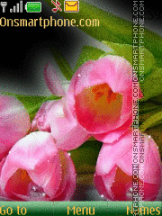 Capture d'écran Tulips thème
