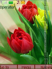 Tulips Theme-Screenshot