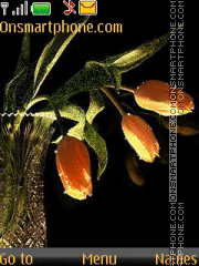 Spring Tulips tema screenshot