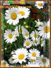 Dandelions theme screenshot