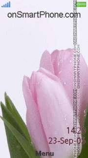 Capture d'écran Pink Tulip thème
