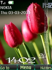 Скриншот темы Tulips 24 wallpaper