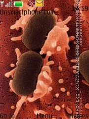 Bacteria tema screenshot