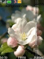 Capture d'écran Flowers of apple thème