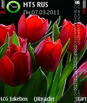 Скриншот темы Tulips-Red