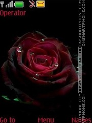 roses swf Theme-Screenshot