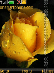Capture d'écran Yellow rose thème
