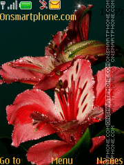 Capture d'écran Red Flower thème