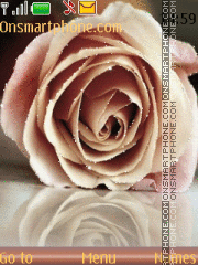 Tenderness rose Theme-Screenshot