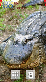 Crocodile tema screenshot