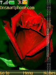 Loving rose theme screenshot