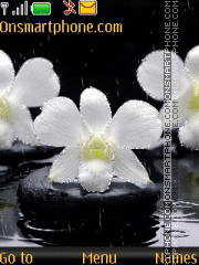 White orchid Theme-Screenshot
