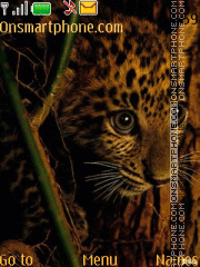Скриншот темы leopard