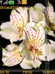 White flowers tema screenshot