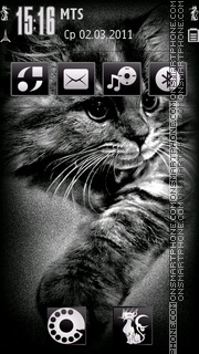 Kitty 10 theme screenshot