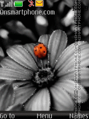 Camomile and Ladybug theme screenshot
